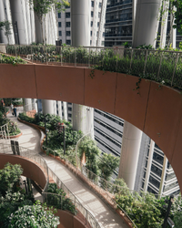 Curved indoor walkway with lush greenery and tall white columns, set in a modern building. The scene conveys tranquility and architectural elegance.