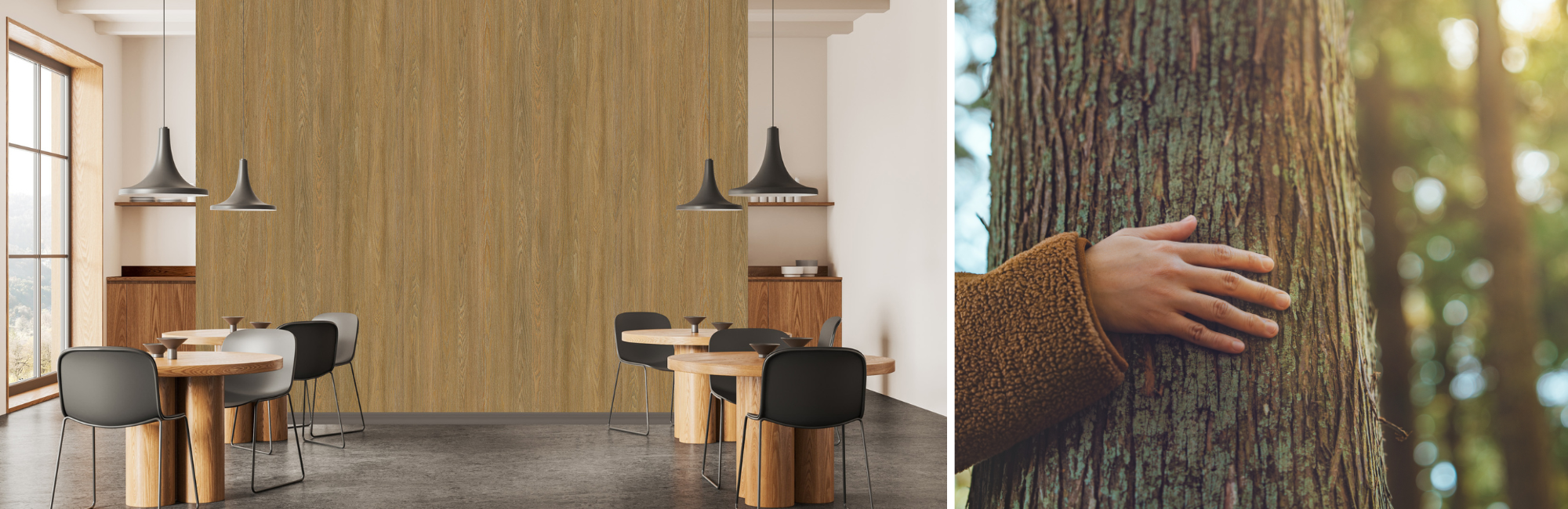 Split image: Left shows a minimalist dining area with wooden tables, black chairs, and pendant lights against a wooden wall; right shows a person hugging a tree, evoking serenity.