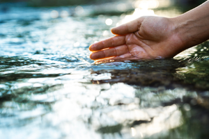 A hand gently skims the surface of a clear, flowing stream, capturing sunlight. The scene conveys a serene and refreshing sense of nature.