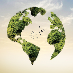 Floating earth-shaped greenery against a sky, divided into two parts with birds flying between. Represents harmony with nature and environmental themes.