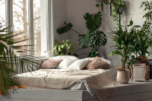 Cozy bedroom with a sunlit bed adorned with pillows and blankets, surrounded by lush green potted plants, creating a serene and relaxing atmosphere.