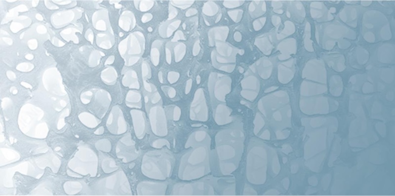 Bridgette Grzesik's musculoskeletal-inspired pattern
