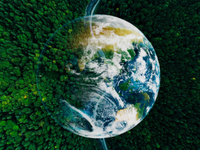 SUSTAINABILITY